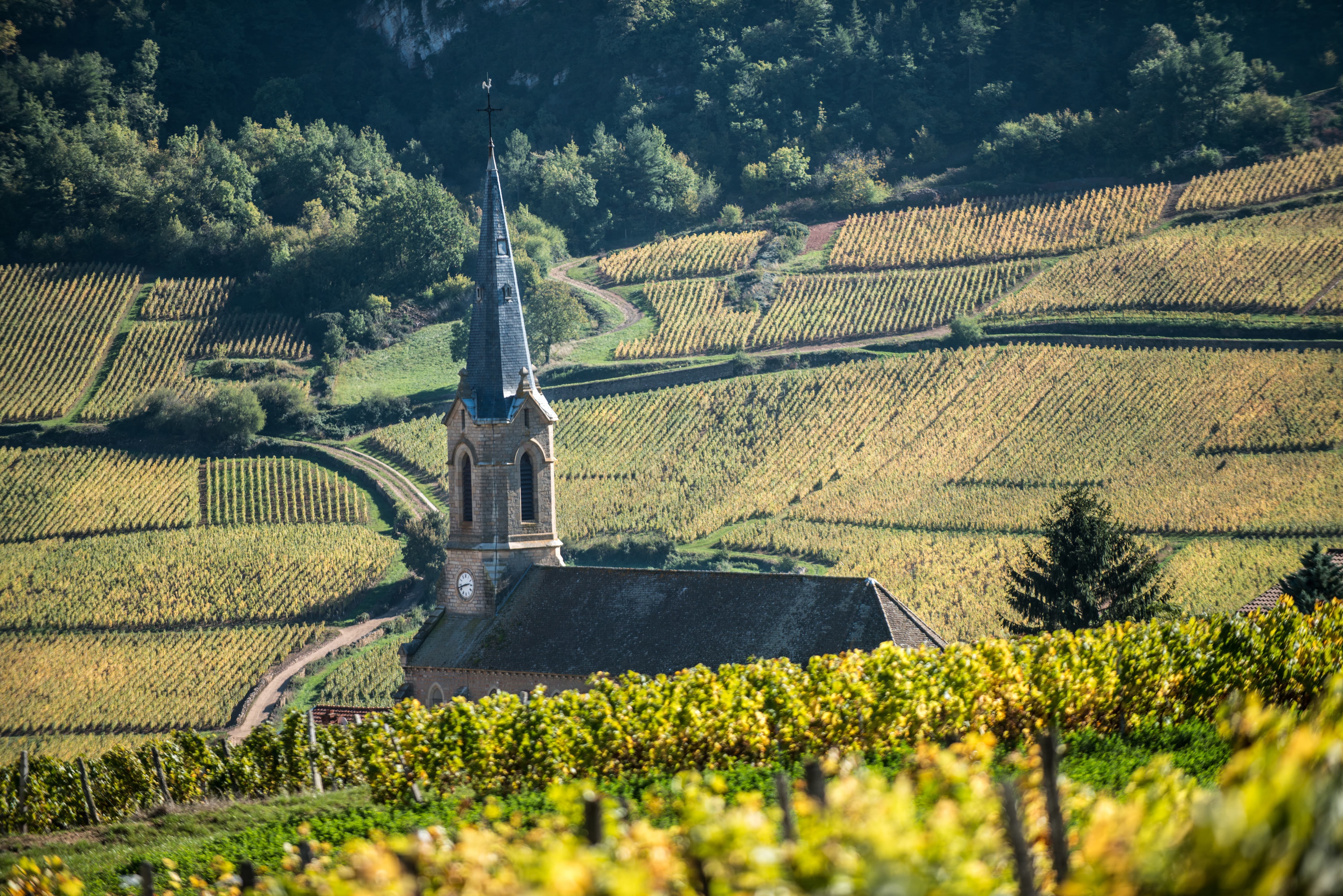 burgundy_vergisson12_-_m.joly_nov_2014.jpg