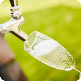 樽生スパークリング・ワイン(R)　アルザイア　ALZAIA　白泡